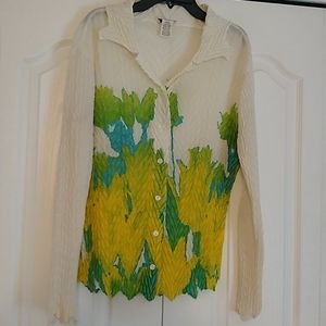 Multi colored light weight blouse.